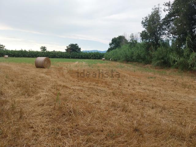 Terreno, Pedret i Marzá