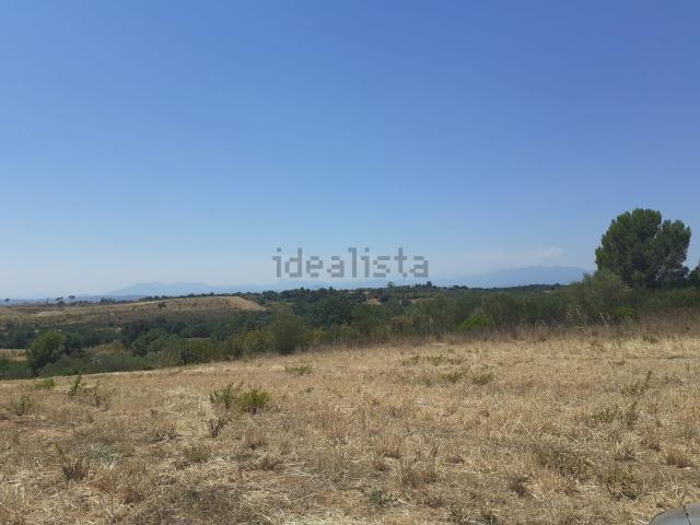 Terreno, Pedret i Marzá
