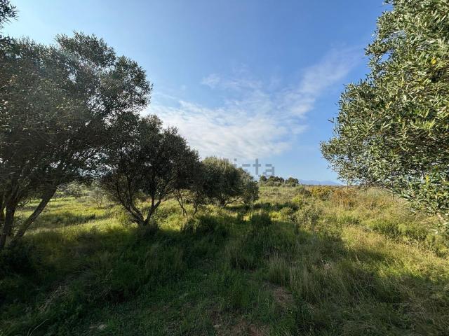 Terreno, Pedret i Marzá