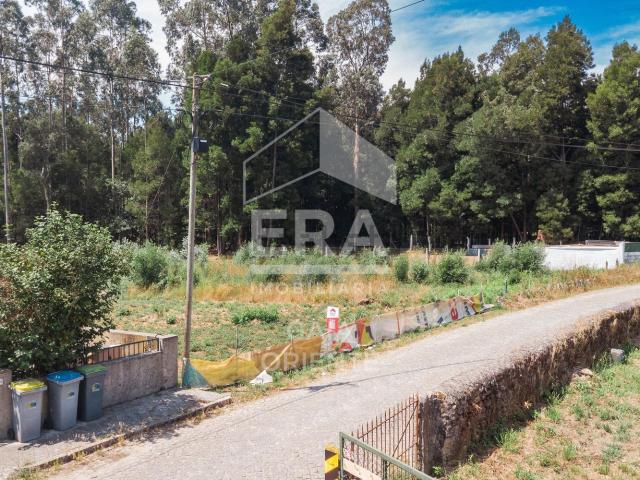 Terreno, Pedroso
