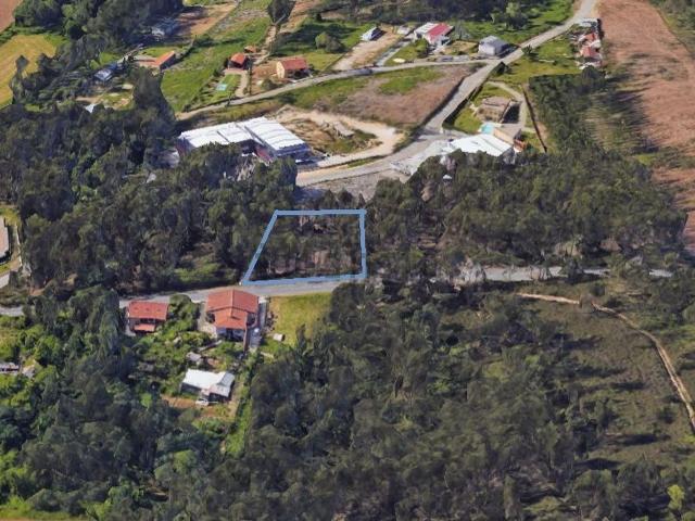 Terreno, Pedroso