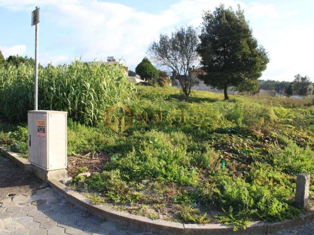 Terreno, Pedroso
