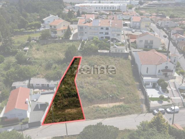 Terreno, Pedroso