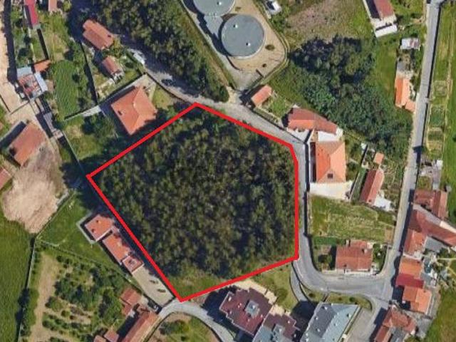 Terreno, Pedroso