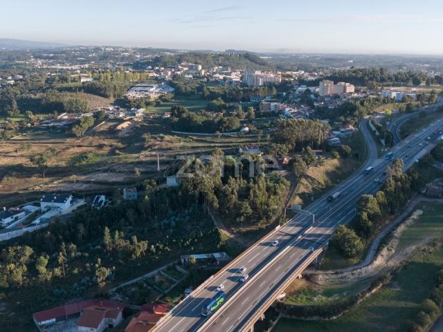 Terreno, Pedroso
