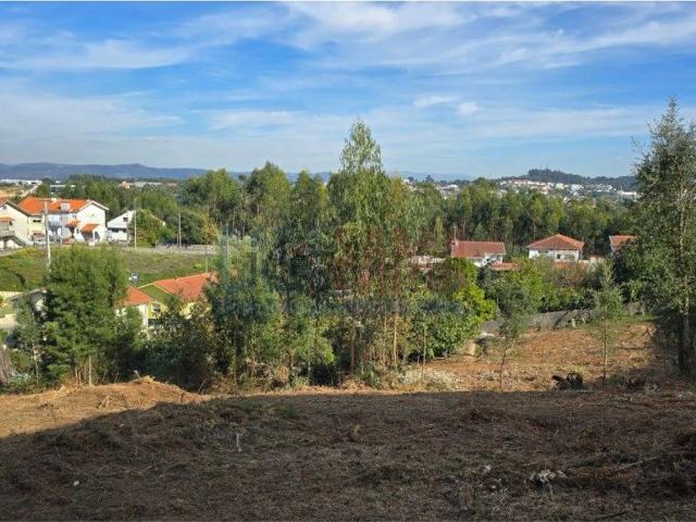 Terreno, Pedroso