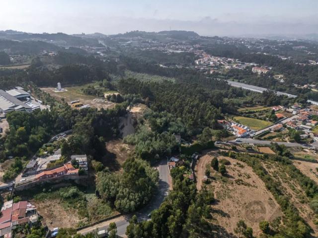 Terreno, Pedroso
