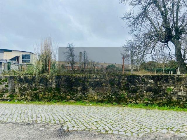 Terreno, Pedroso
