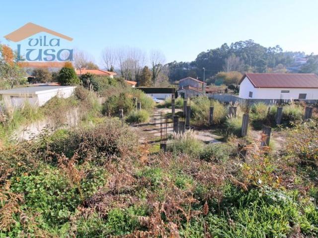 Terreno, Seixezelo