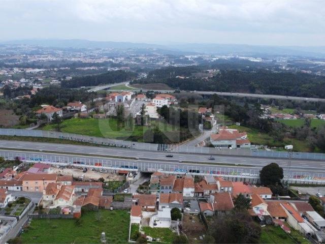 Terreno, Pedroso