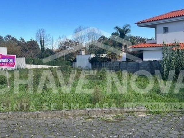 Terreno, Pedroso