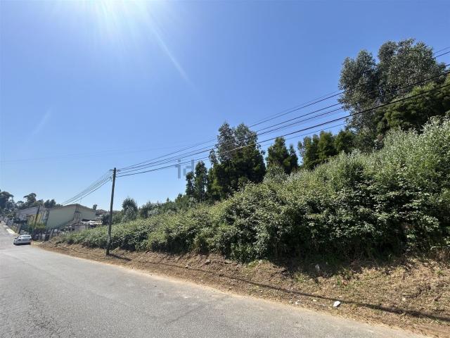 Terreno, Pedroso