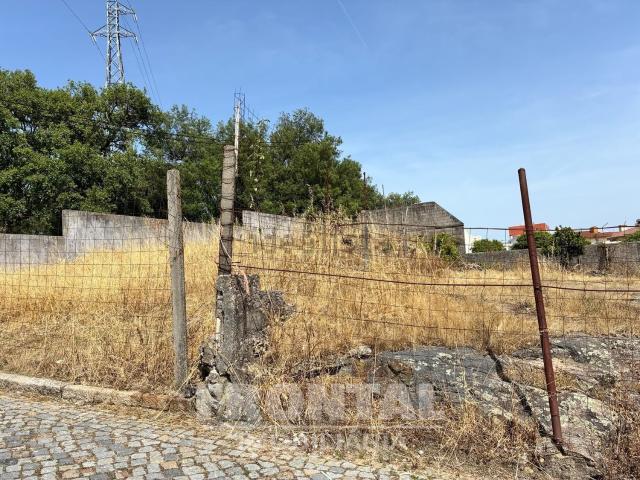 Terreno, Pedrouços
