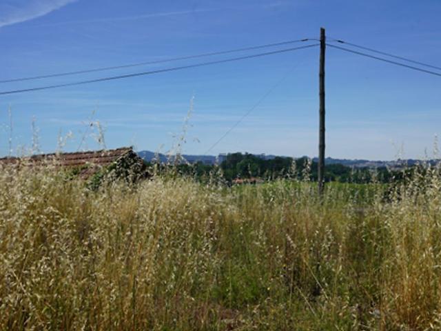 Terreno, Penafiel