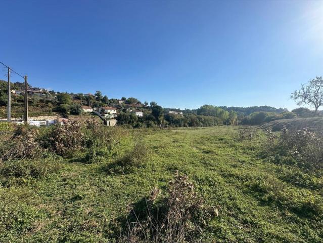 Terreno, Penafiel
