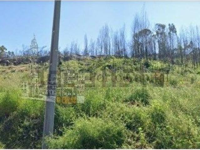 Terreno, Penafiel