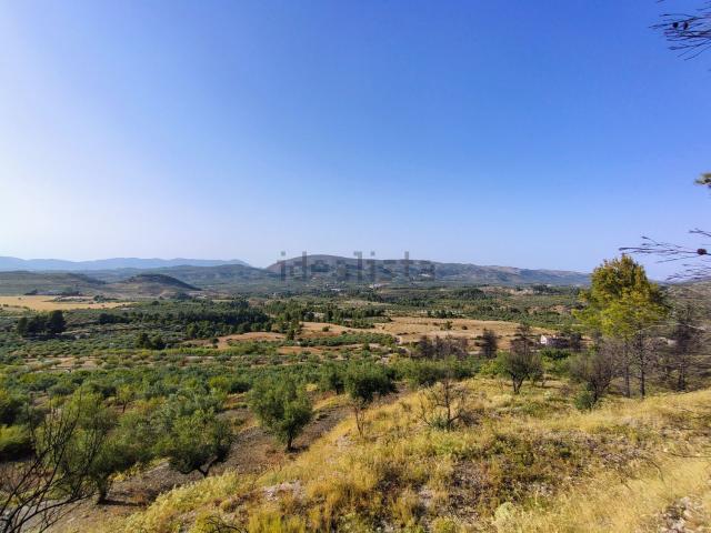 Terreno, Penaguila