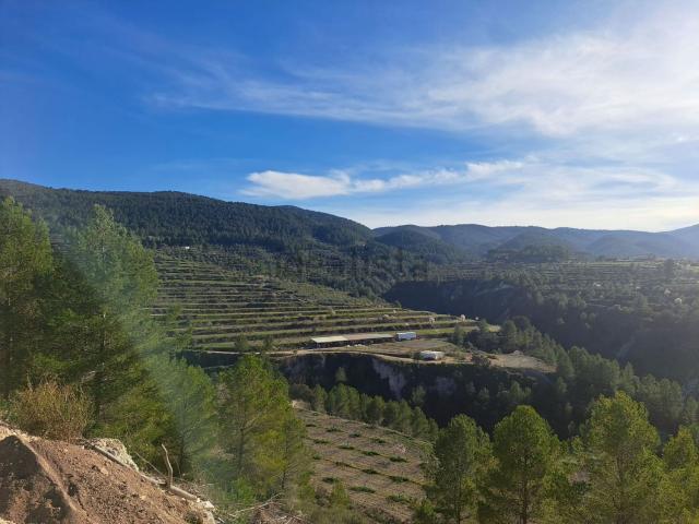 Terreno, Penaguila