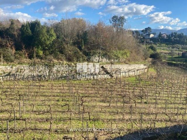 Terreno, Penha Longa