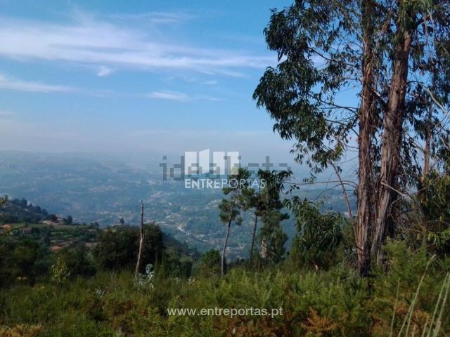 Terreno, Penha Longa