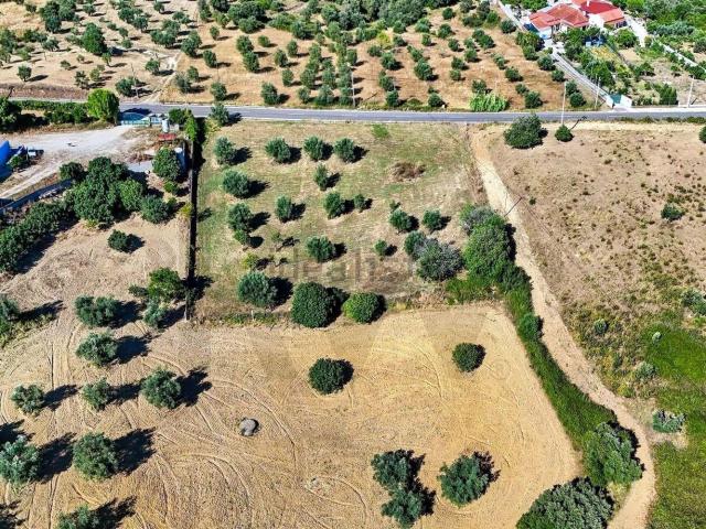 Terreno, Pernes