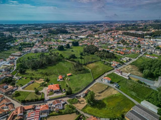 Terreno, Perosinho