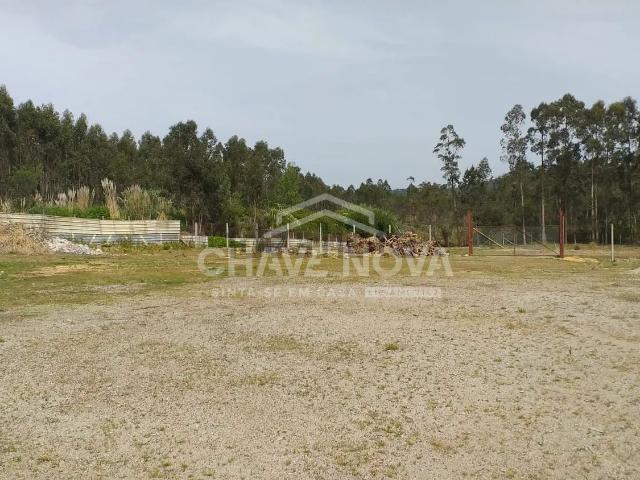 Terreno, Perosinho