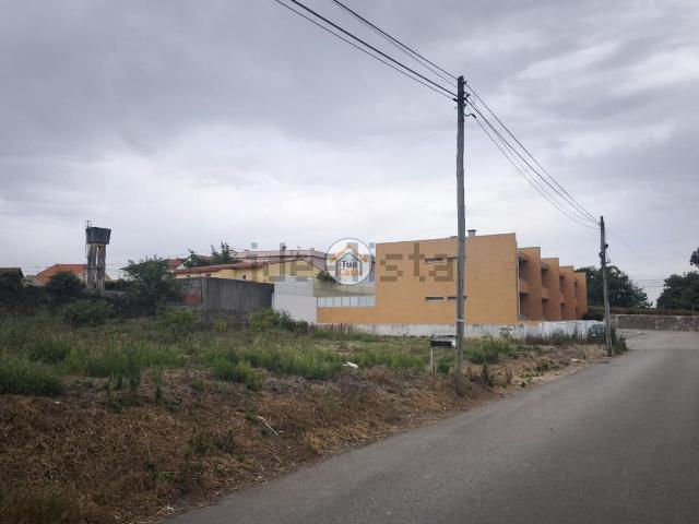 Terreno, Perosinho