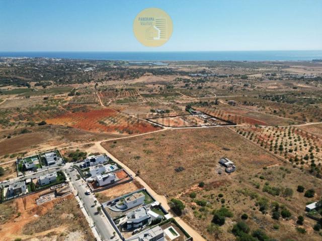 Terreno, Pêra