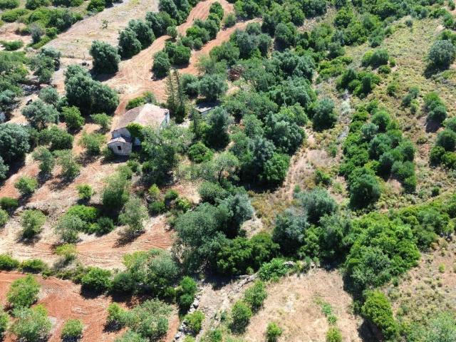 Terreno, Pêra