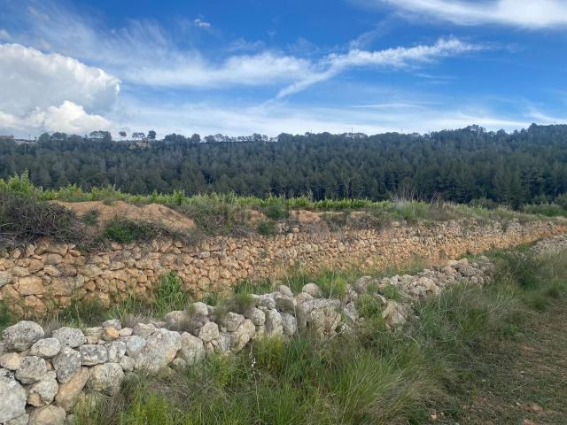 Terreno, Perafort