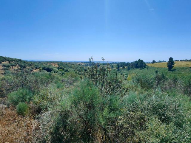Terreno, Perales del Puerto