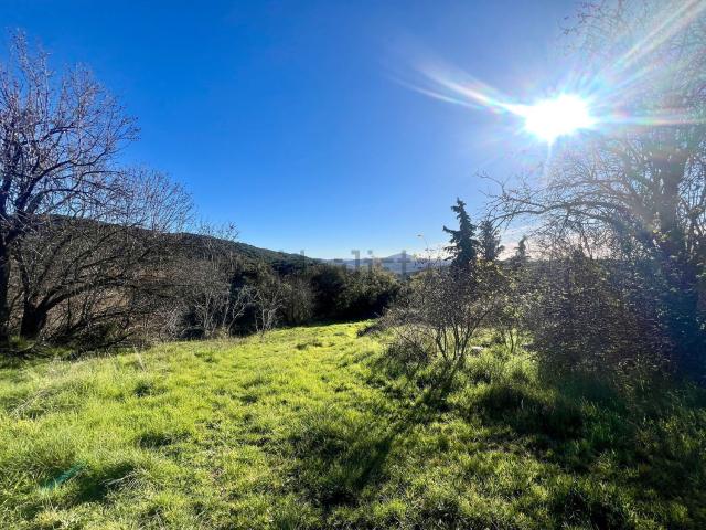 Terreno, Peralta de Calasanz