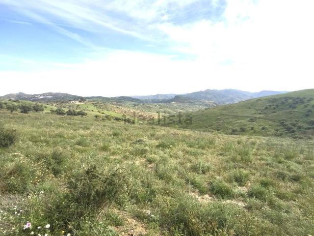 Terreno, Periana