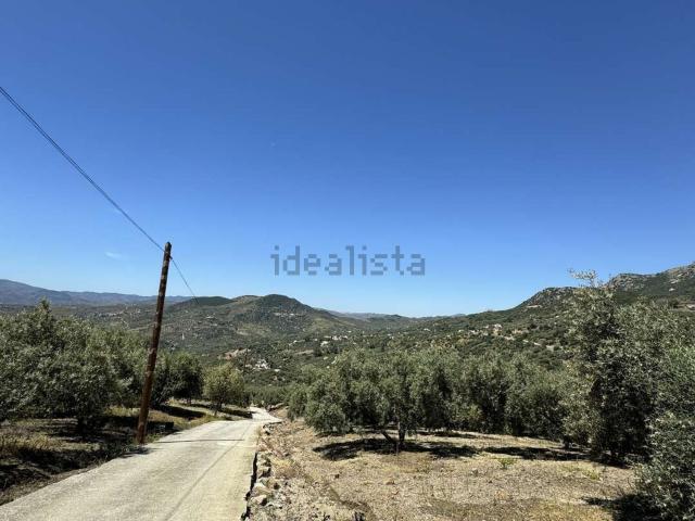 Terreno, Periana
