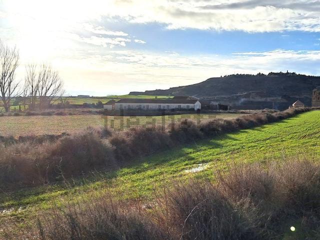 Terreno, Pertusa