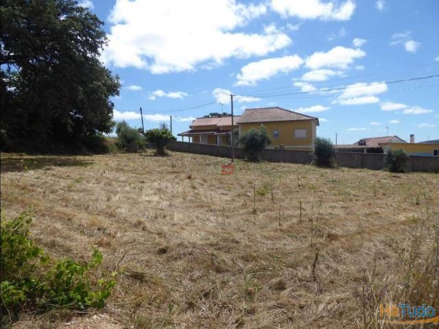 Terreno perto de Fátima | 26062522067