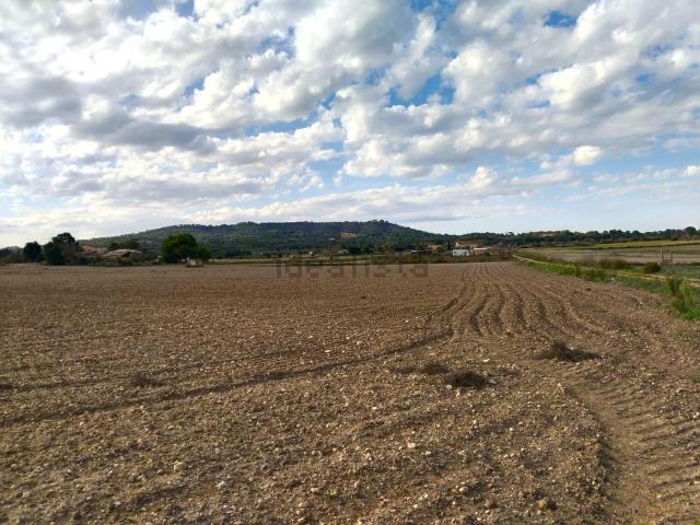 Terreno, Petra