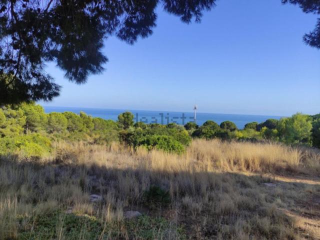 Terreno, Peñíscola