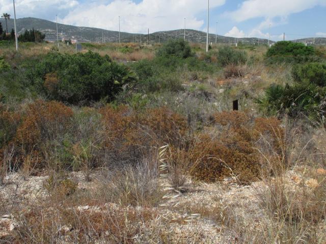 Terreno, Peñíscola
