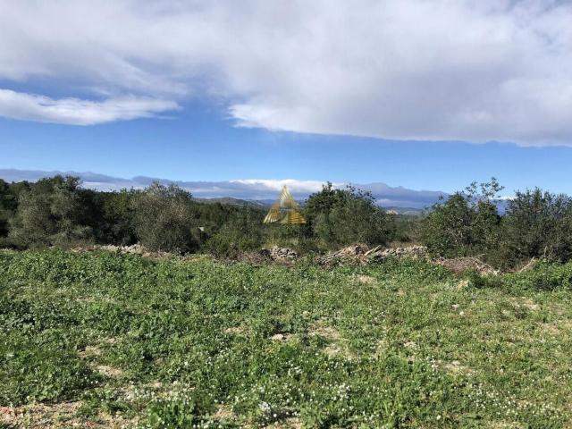 Terreno, Peñíscola