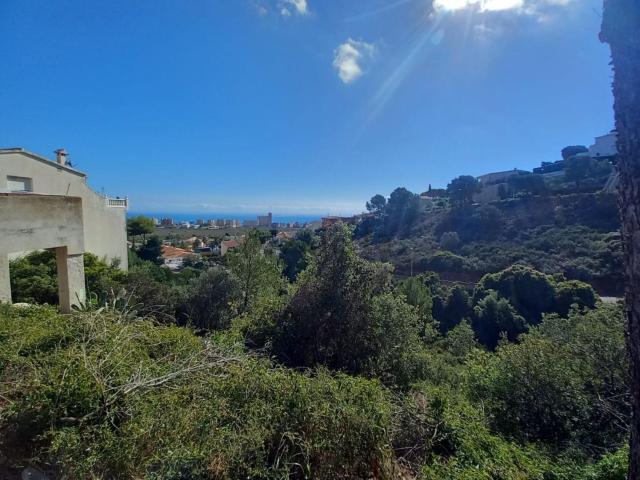 Terreno, Peñíscola