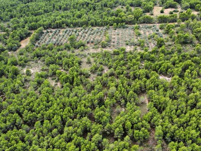 Terreno, Peñíscola