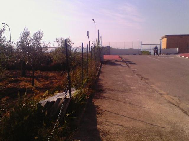 terreno pianegggiante fondi