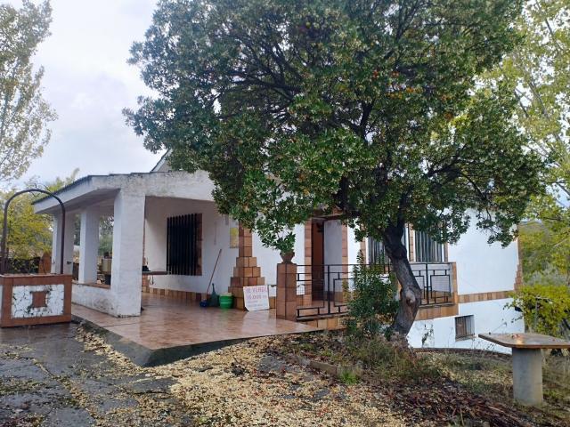 Terreno, Piedrabuena