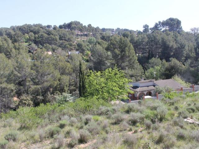 Terreno, Piera