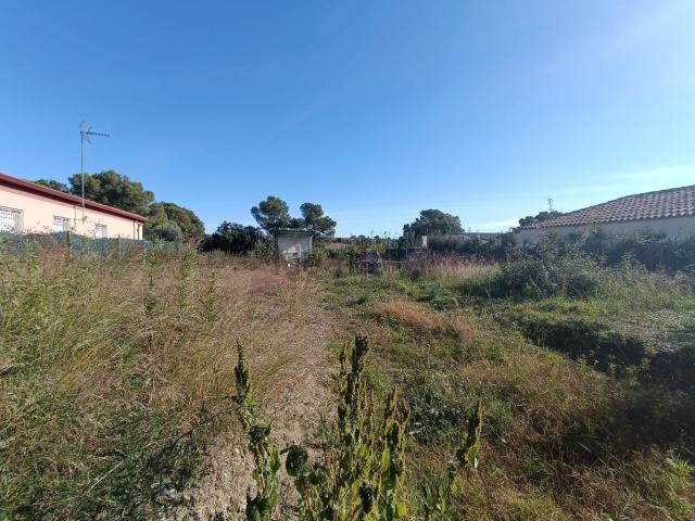 Terreno, Piera