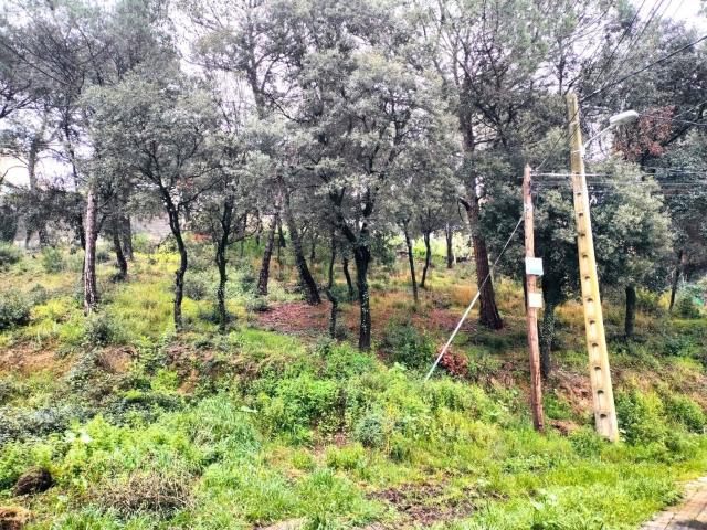 Terreno, Piera