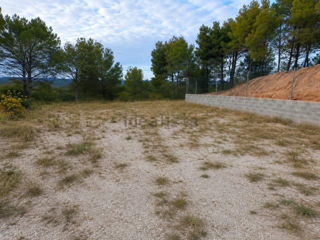 Terreno, Piera