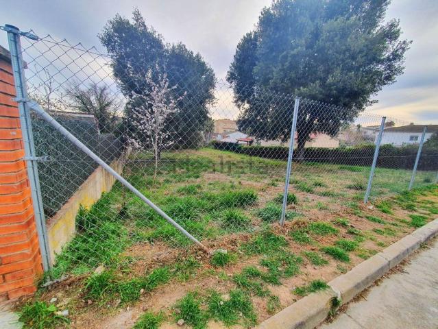 Terreno, Piera